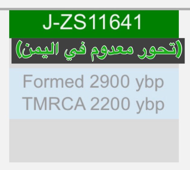 صقر العروبة tweet media