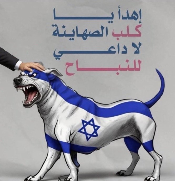 أمير النحل tweet media