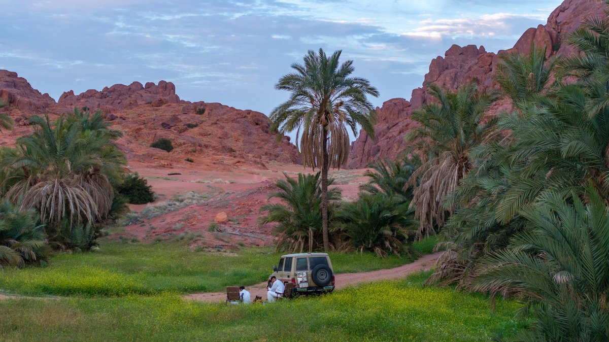 أمانة منطقة حائل tweet media