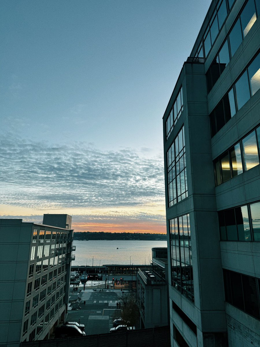 sushyflo's tweet photo. wrapped up my role at my last startup 🧳 — ngl will miss the view https://t.co/HpUhSLZAAA