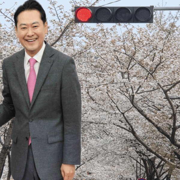 배세태 tweet media