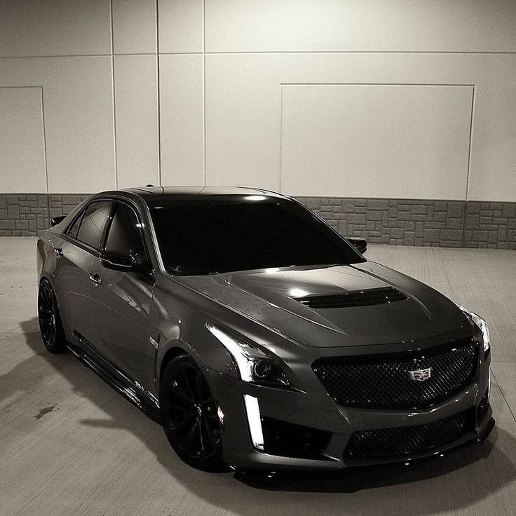 Готический король tweet media