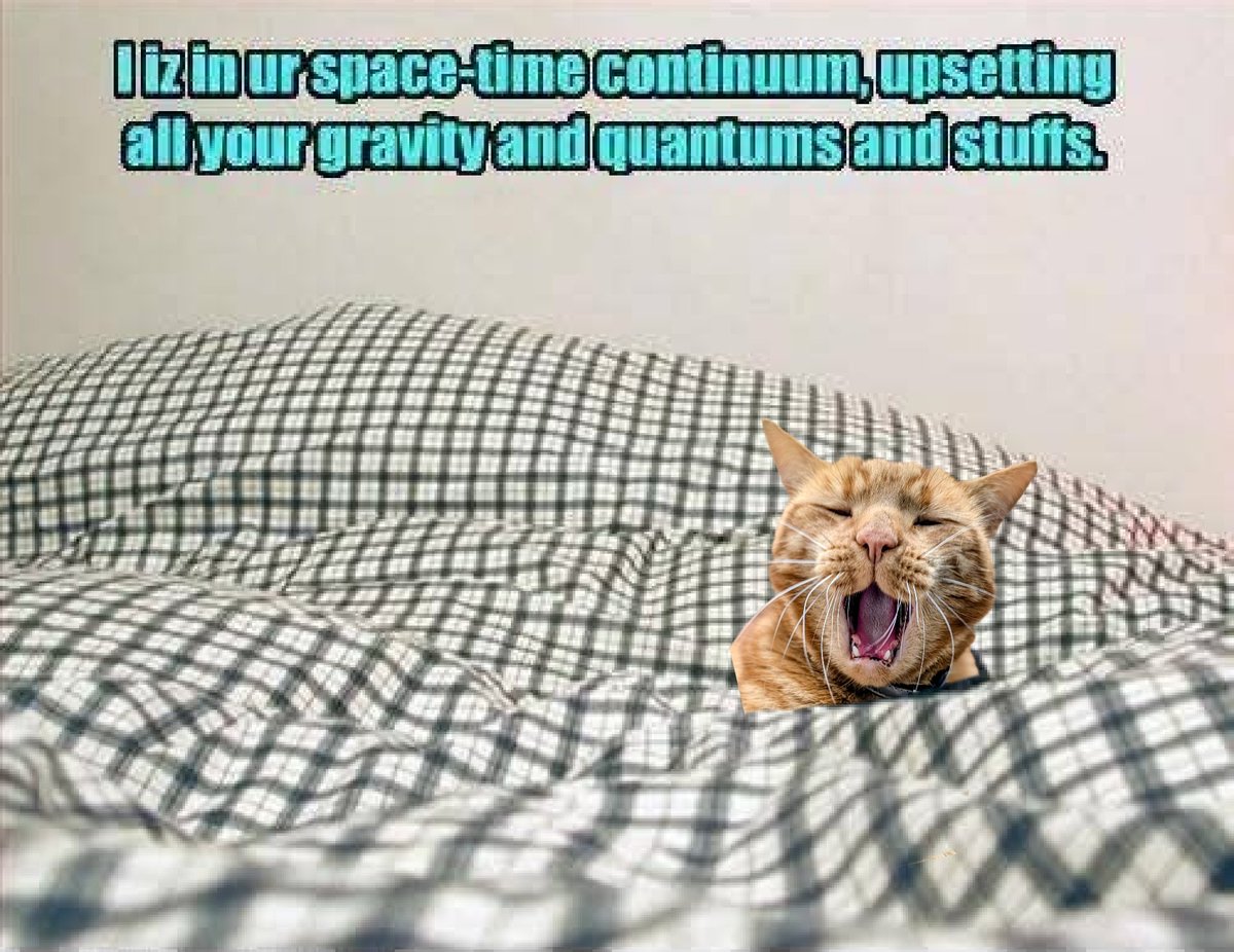 Kevin Kindness and Sidekick Smudge tweet media