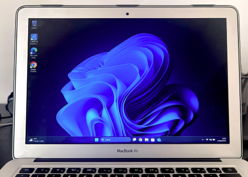 Mr. Link tweet media