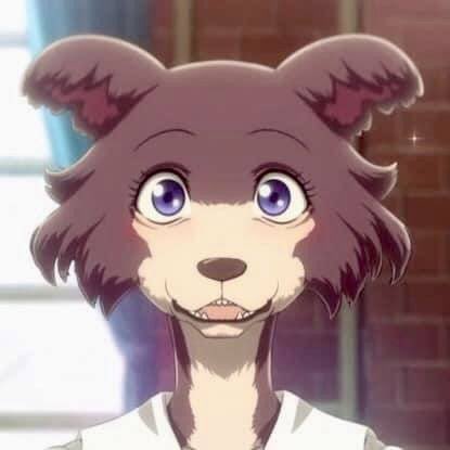 The Cajun Gator (Sonar Fan) tweet media