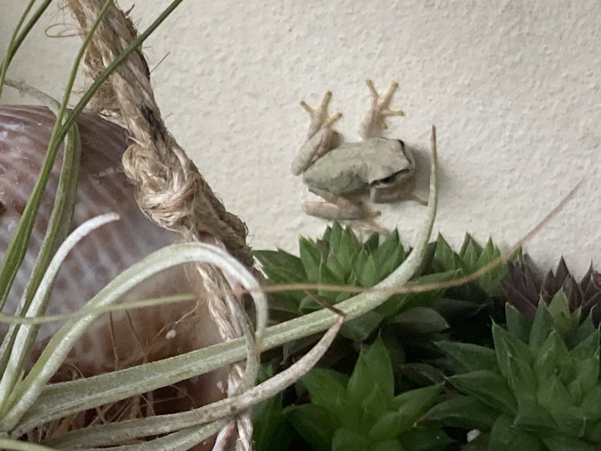 MIC@みっちゃん tweet media