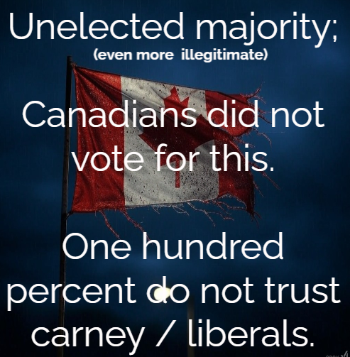 🇨🇦 Good Think tweet media