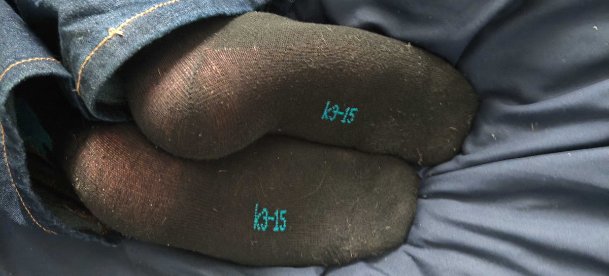 Cooki3 🐀 tweet media