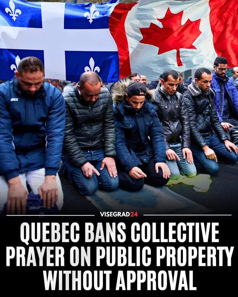 Visegrád 24 tweet media