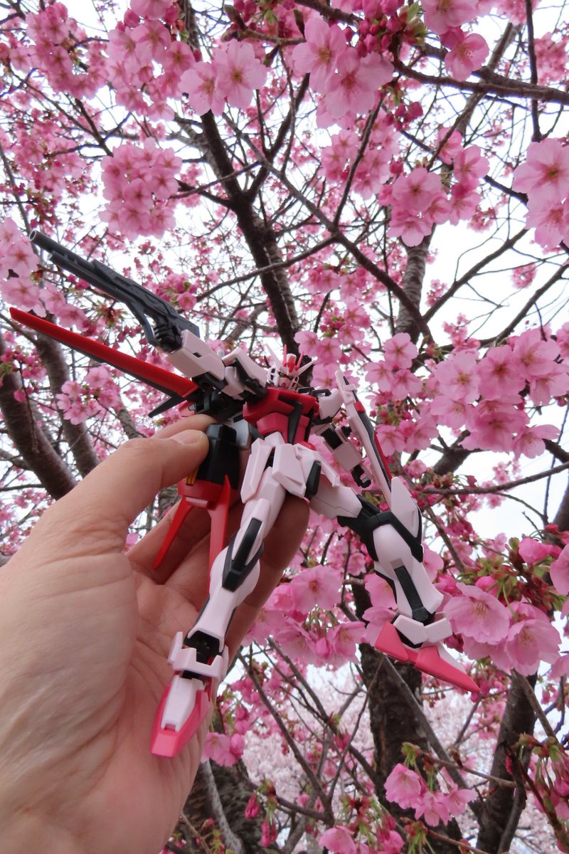 taka-Hi-road tweet media