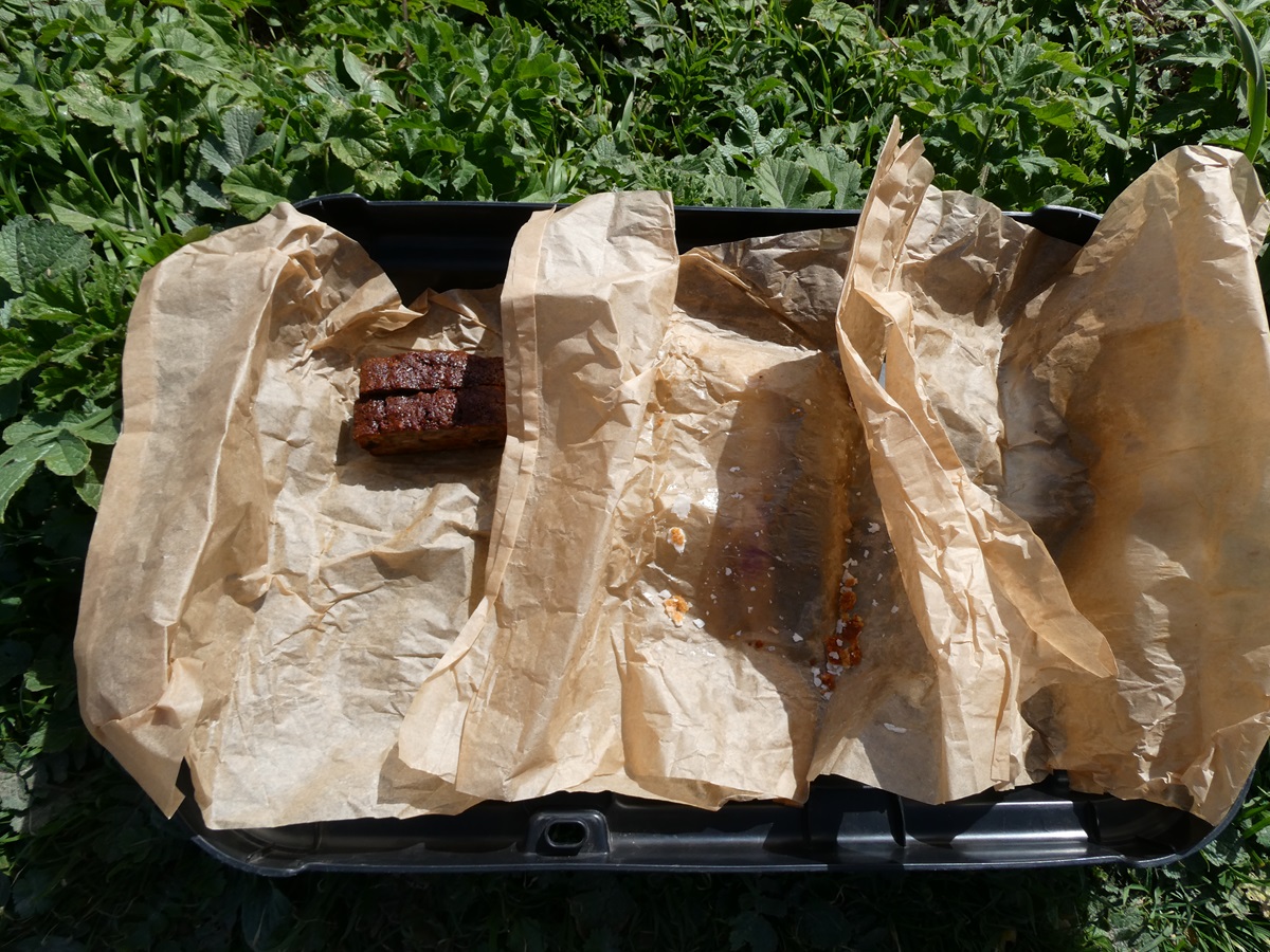 Guernsey Conservation Volunteers tweet media