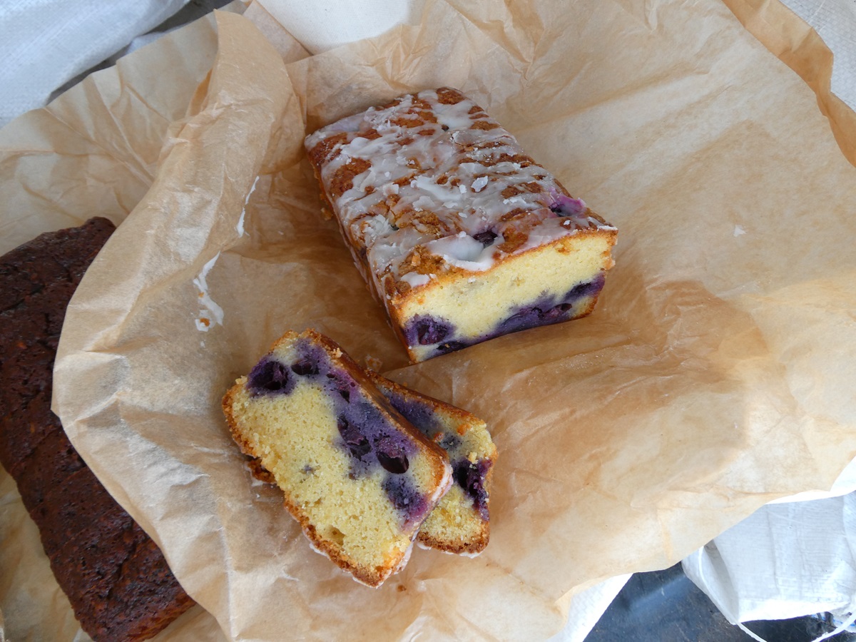 Guernsey Conservation Volunteers tweet media