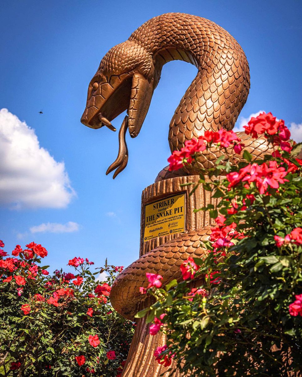 Innisbrook Resort tweet media