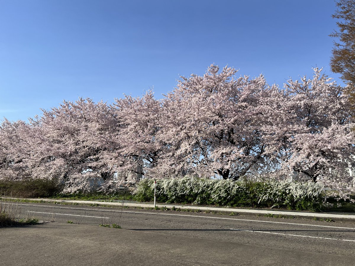 Inbmk63's tweet photo. インターのとこ綺麗〜 https://t.co/OhBzlkXxpd