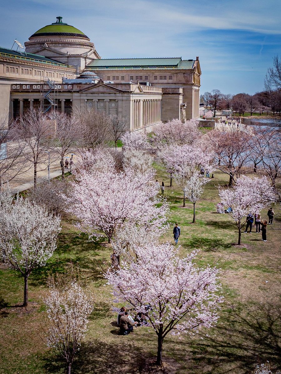 Joshua Mellin tweet media