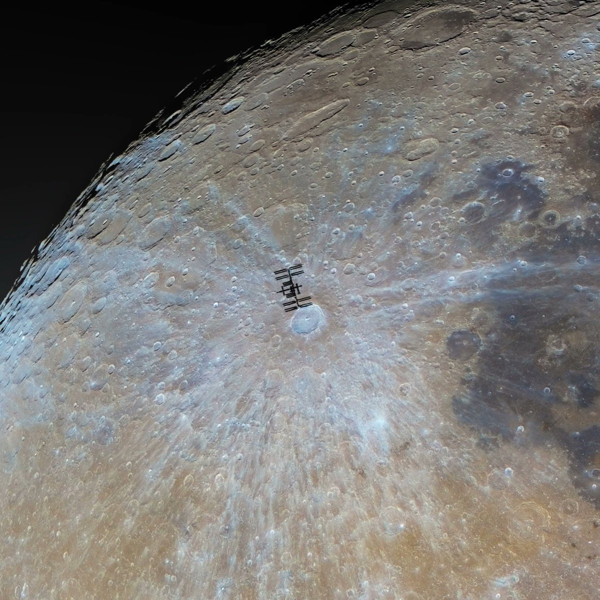 Julius Master N♱N tweet media