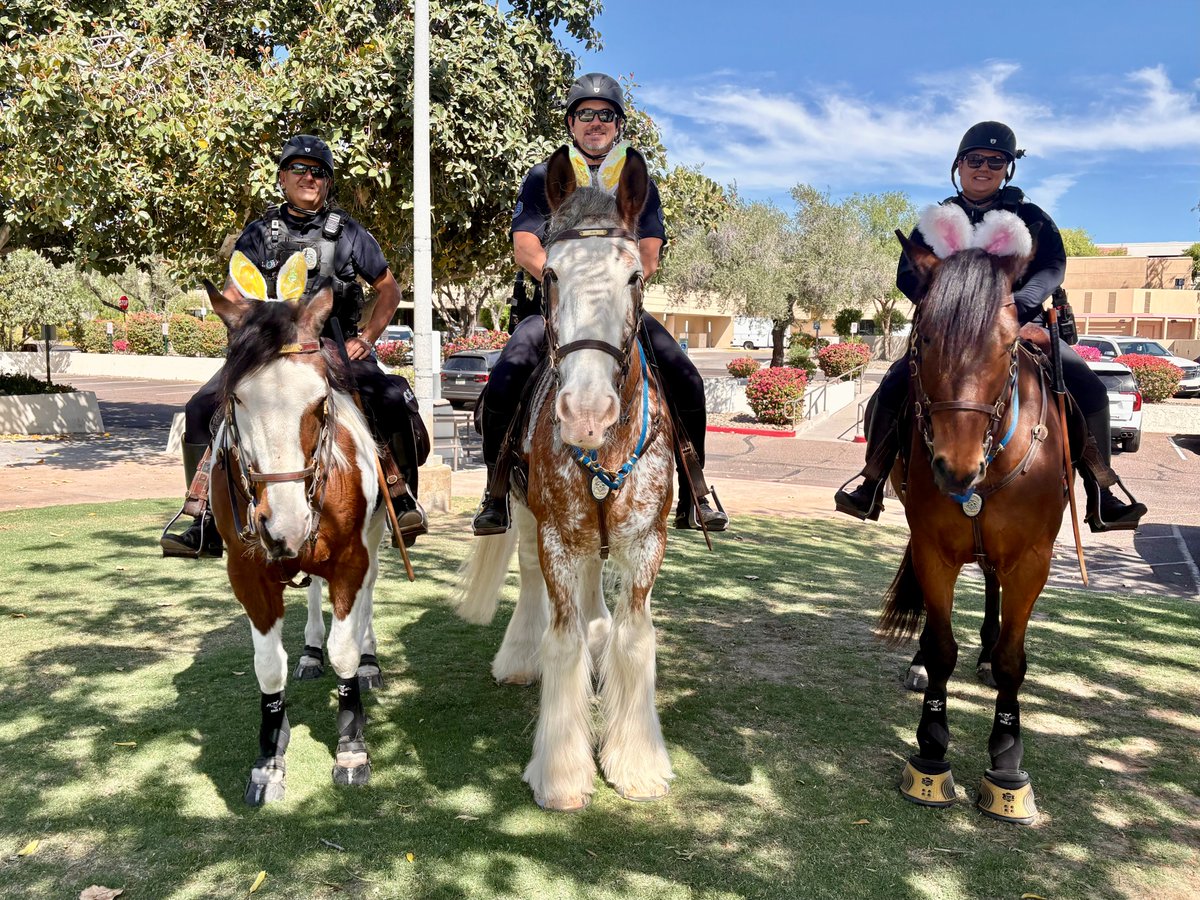 scottsdaleazgov's tweet image. Scottsdale’s Mounted Unit has been patrolling parks, streets, and events for decades, blending public safety with community connection. 

Next time you’re at a city park or event, keep an eye out—you might spot them in action! 

#ScottsdaleAZ #MountedUnit #CommunityPolicing