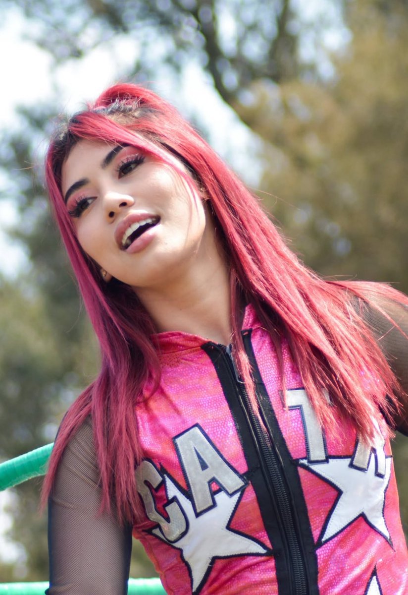 LuigiWrestling tweet media