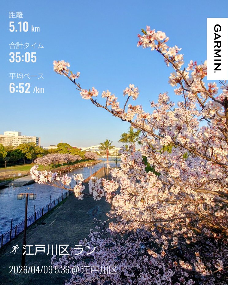 🌸2026 Yamada＠4/19チャレンジ富士五湖100km🗻 tweet media