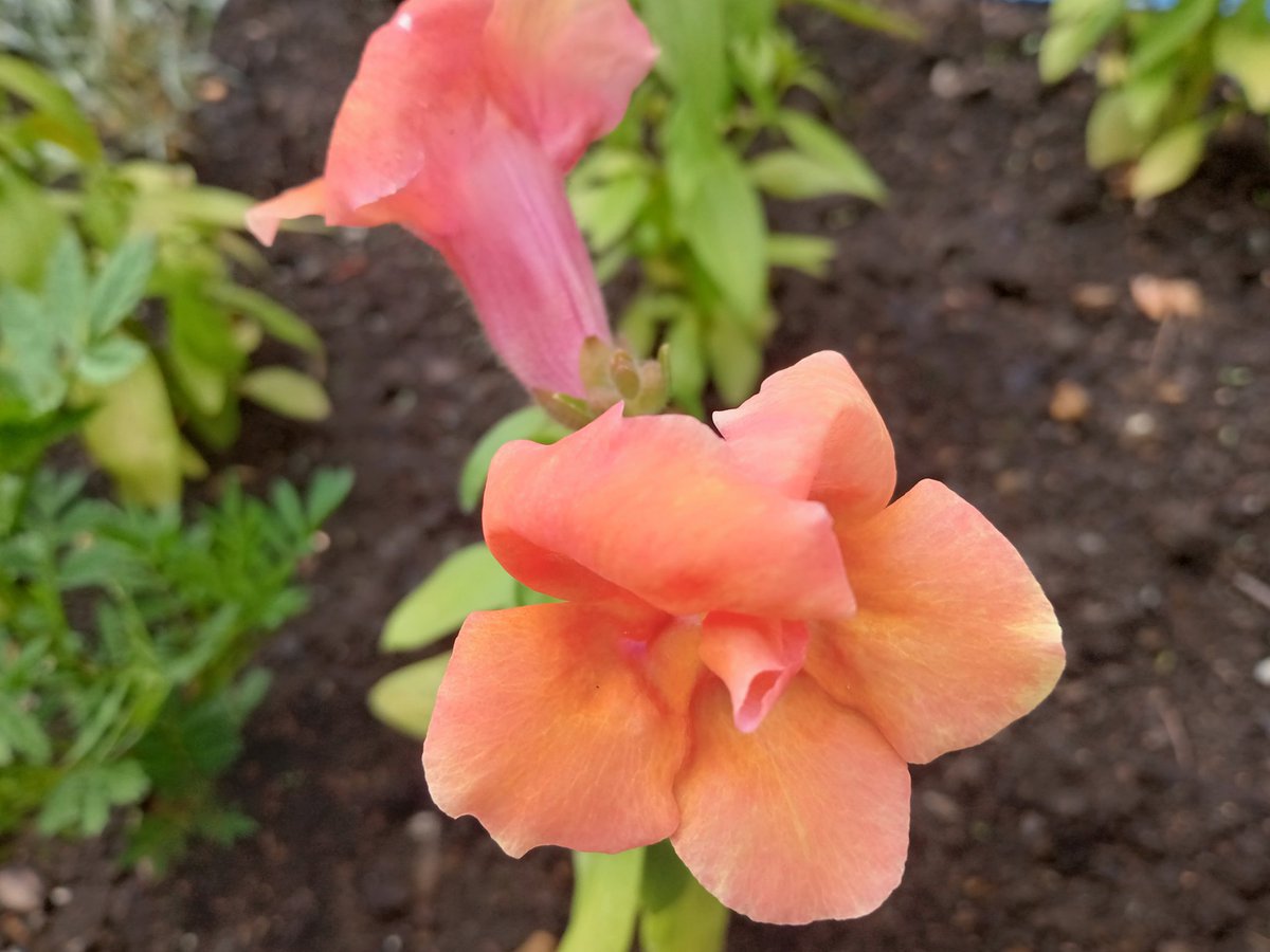 ぼっち tweet media