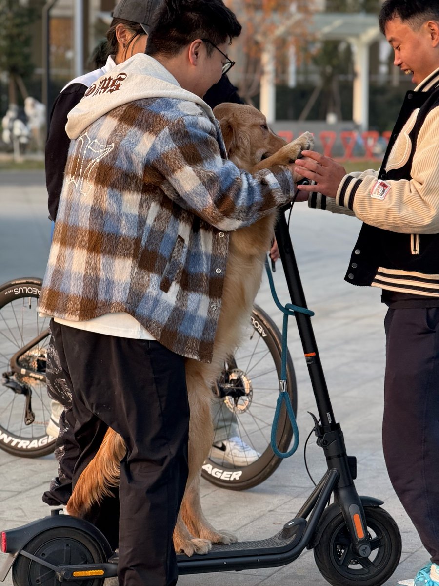 chefcookstrong tweet media