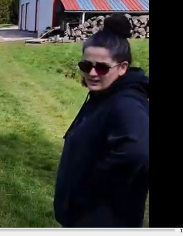 Madame Nyctalope tweet media