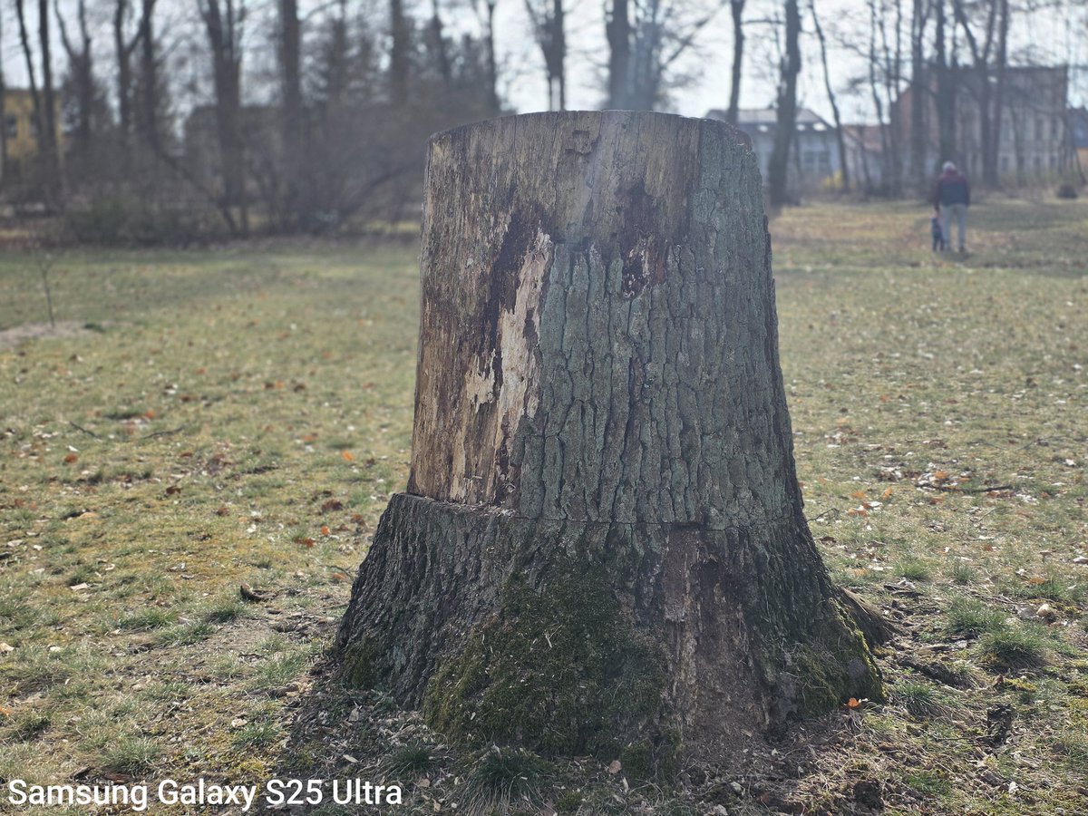 Tech Magic | سحر التقنية tweet media