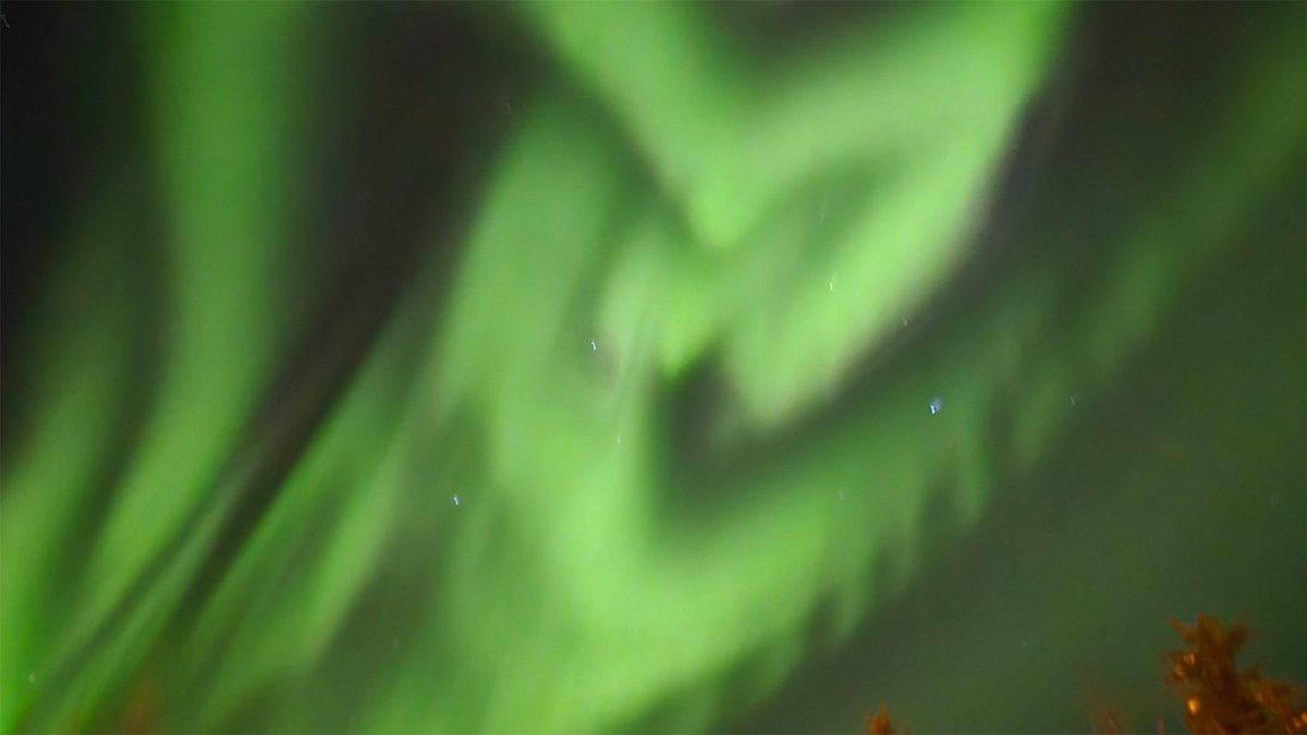 APTNNews's tweet image. Picture of the day is from Fran Etzel showing us how an evening can look above Ross River in the Yukon! 

Incredible sights and lights to be seen all around!