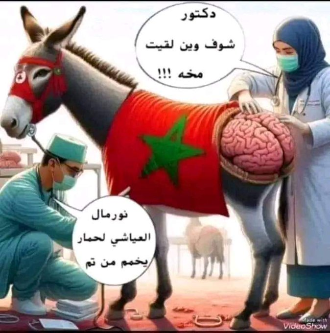 adrartwat's tweet photo. @morocconopinion https://t.co/xtRx8IhL22