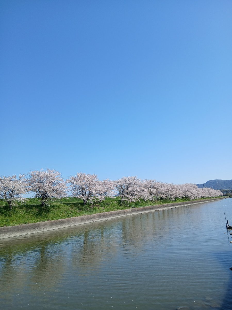 岡山で一番小さな古本屋(おにしょはく) tweet media