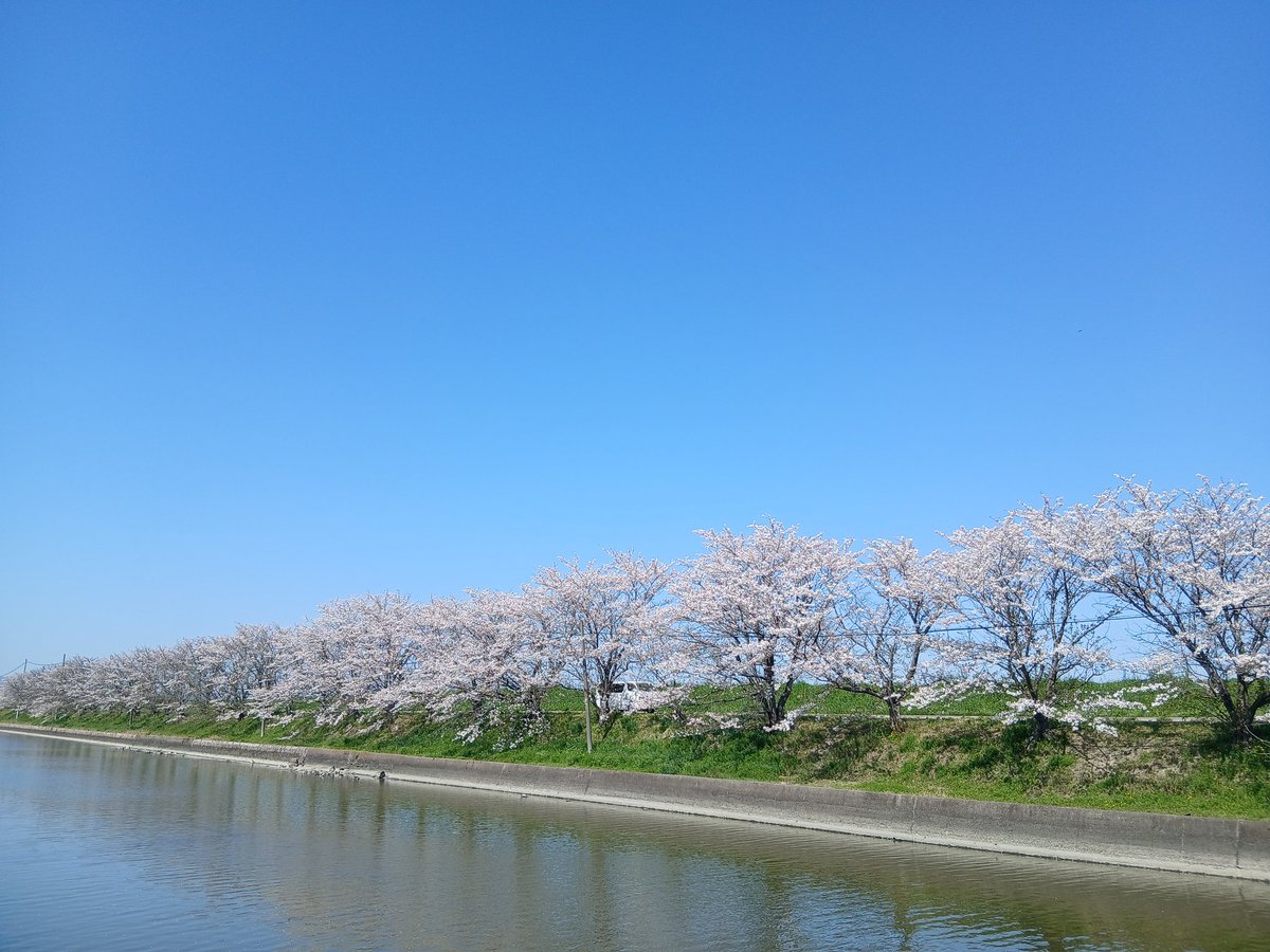 岡山で一番小さな古本屋(おにしょはく) tweet media