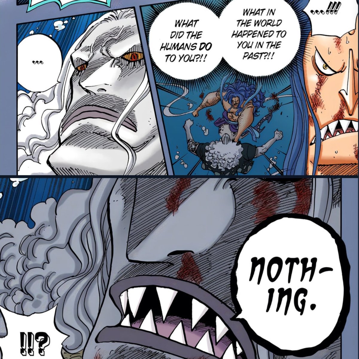 straw hat fuly tweet media