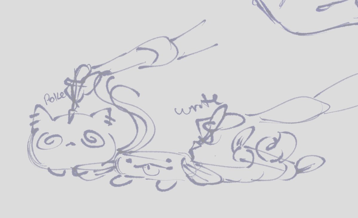 anyan 🛏️ @colleg tweet media