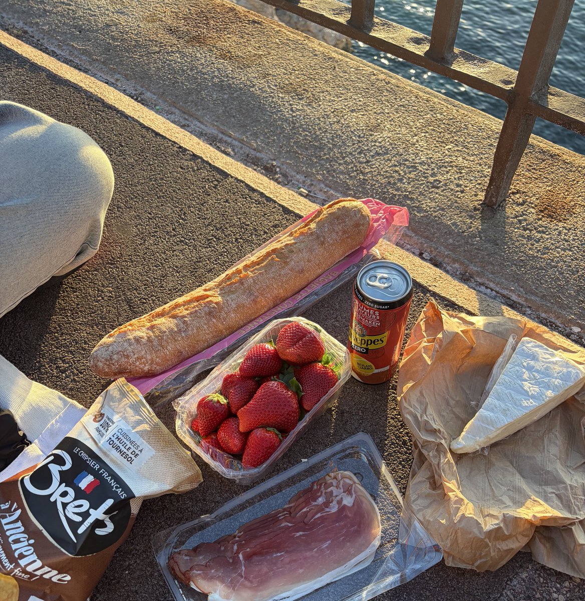 wissal ִֶָ🦢࣪☾. tweet media