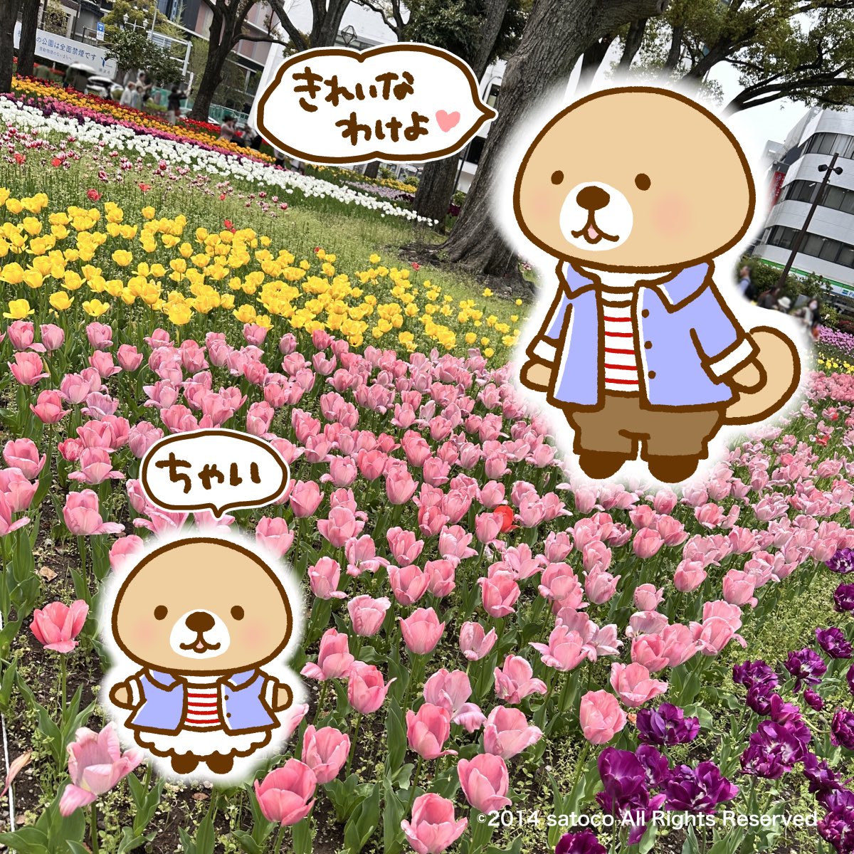 satoco＠突撃！ラッコさん(・(ᴥ)・) tweet media