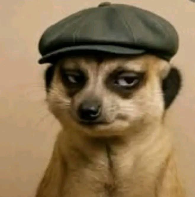 DP AI Brainwave tweet media