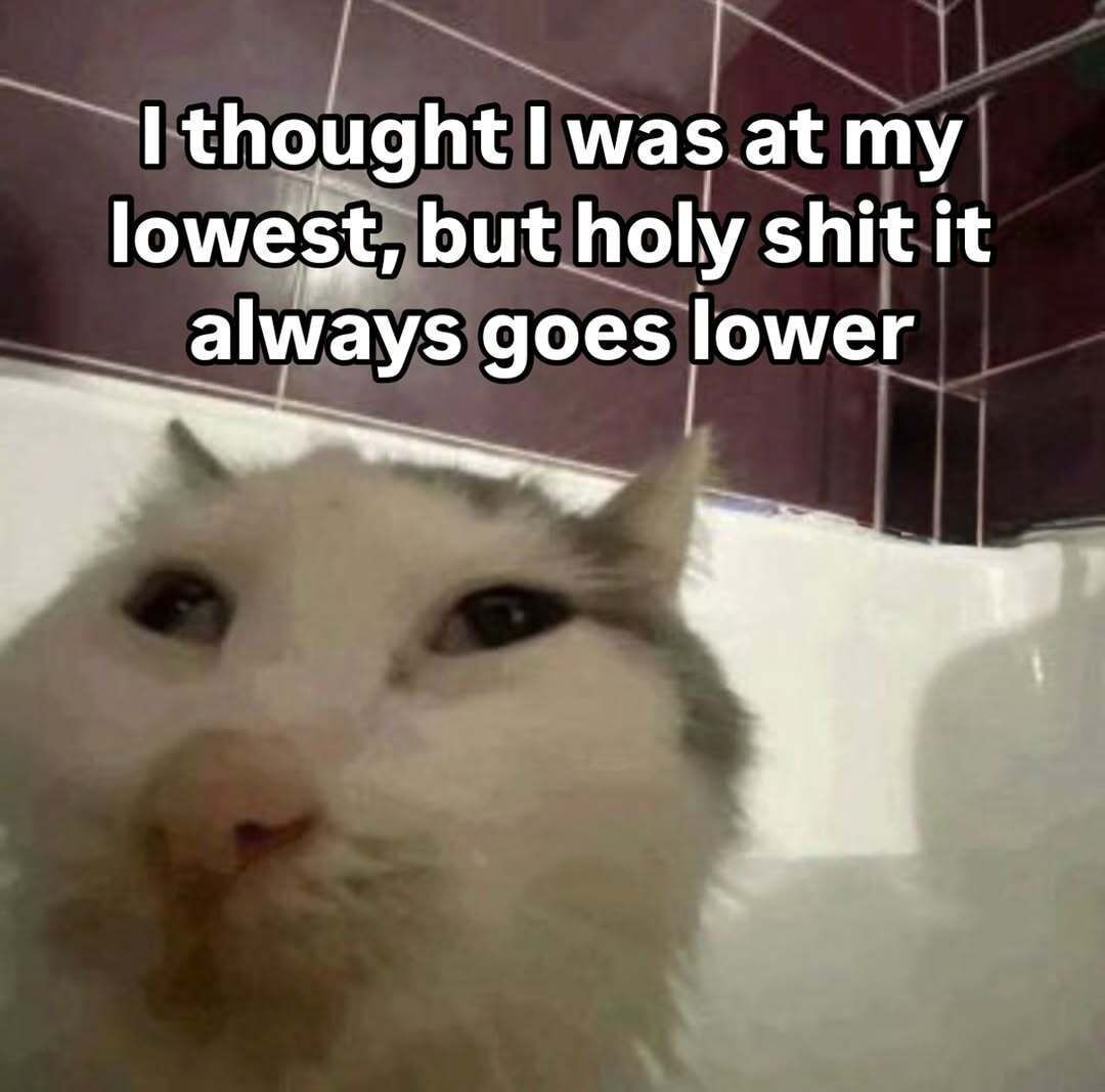 feelings ღ tweet media