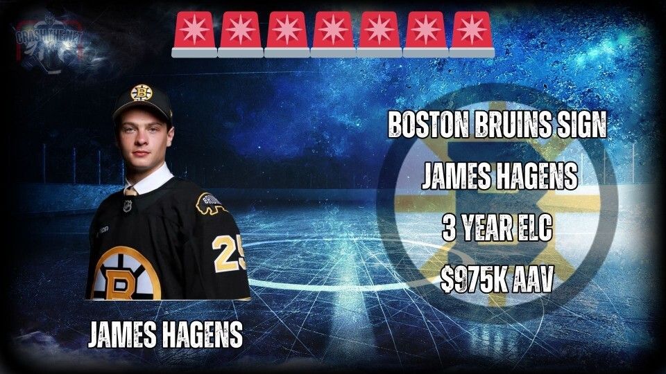 Crash the Net tweet media