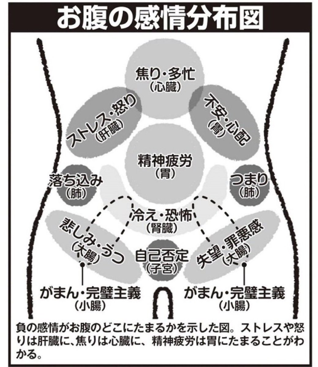 あゆみかん🍊1分体操と「巡りの法則®︎」で世界に幸せを広めるプロジェクト tweet media