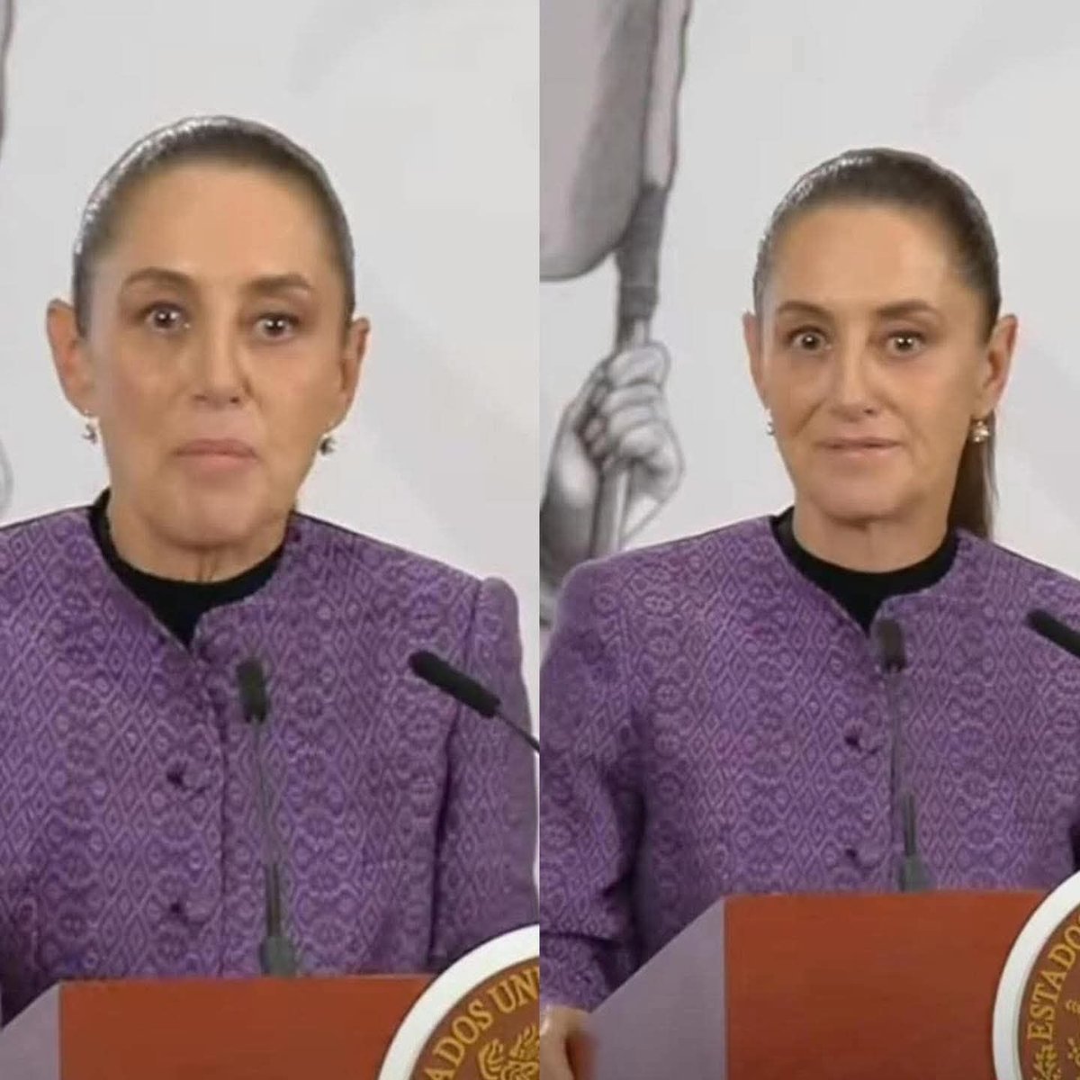 Tattaglia® 🇲🇽🇪🇸 tweet media