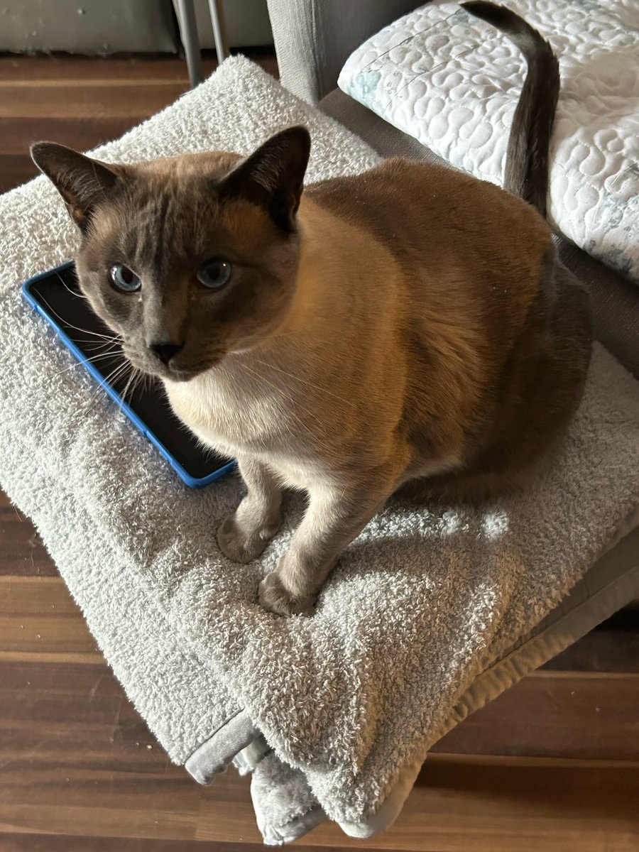 Debbie Graham tweet media