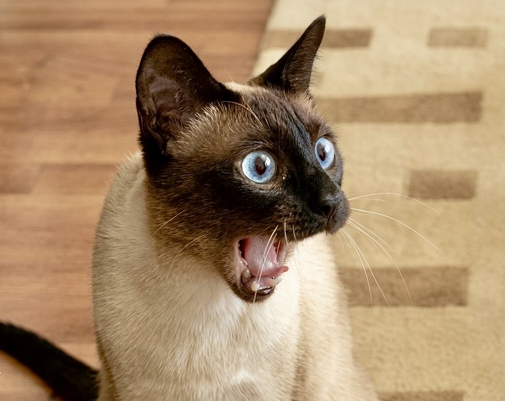 Àkànjí ™ tweet media