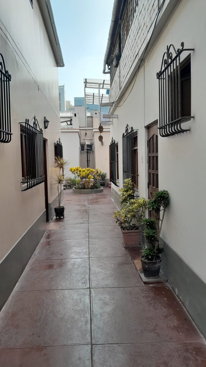 eabusad's tweet photo. Acá nació, en este pequeña quinta de Miraflores en la calle José Gonzáles 545, el poeta Javier Heraud. Fue a las 3:15 de la madrugada de un lunes 19 de enero del año 1942. https://t.co/BLLXopfMgQ