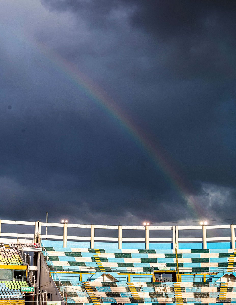 Flamengo tweet media