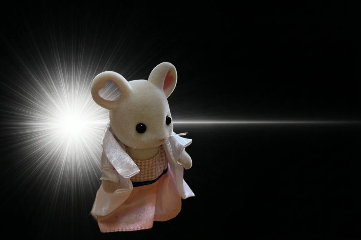 Hiroko Bannai🐭🕊 tweet media