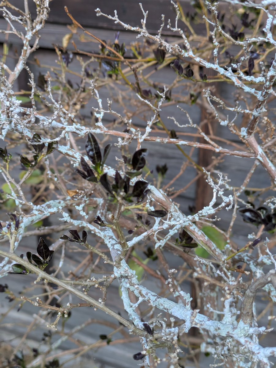 えいくん、 tweet media