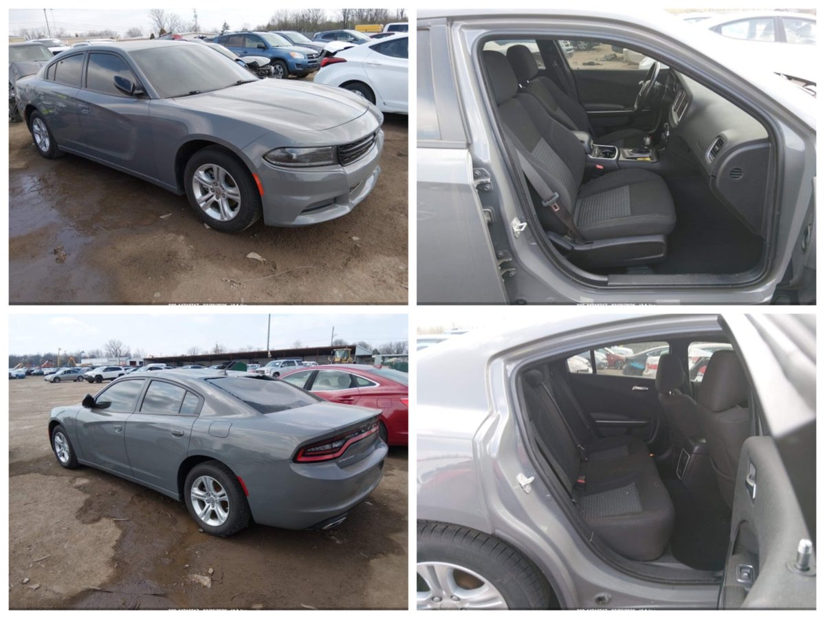 Auction Export tweet media