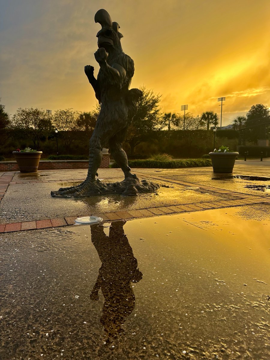 Coastal Carolina University tweet media