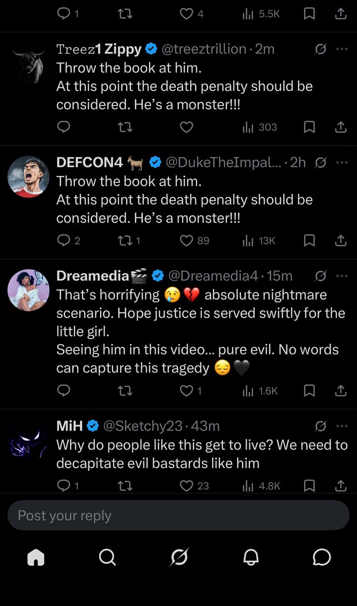 🇺🇸 tweet media