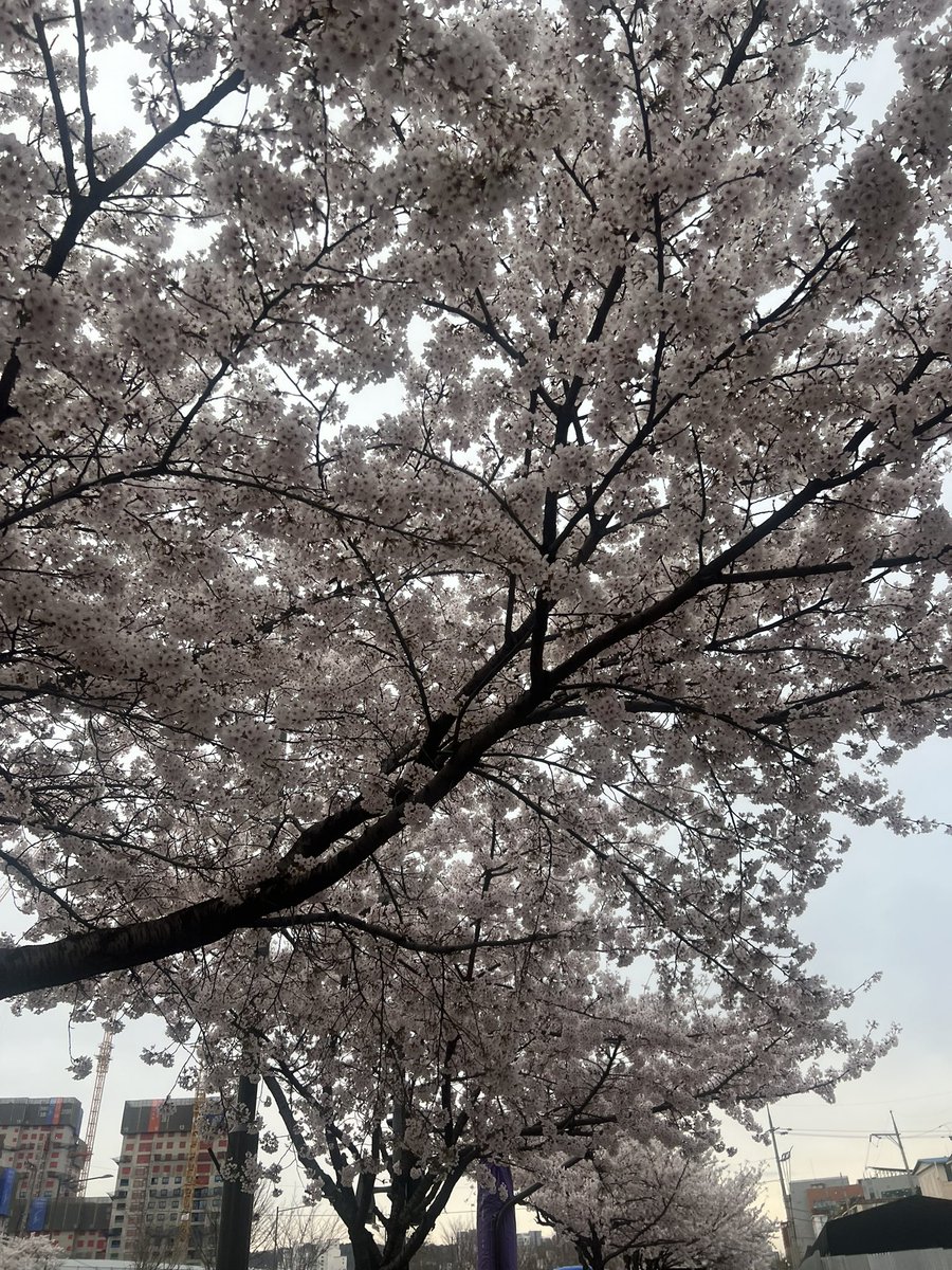 욱모닝♡ 🪽 tweet media